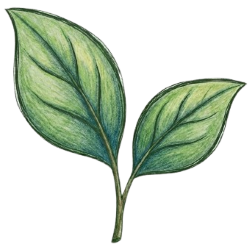 TheGrassyNook Logo
